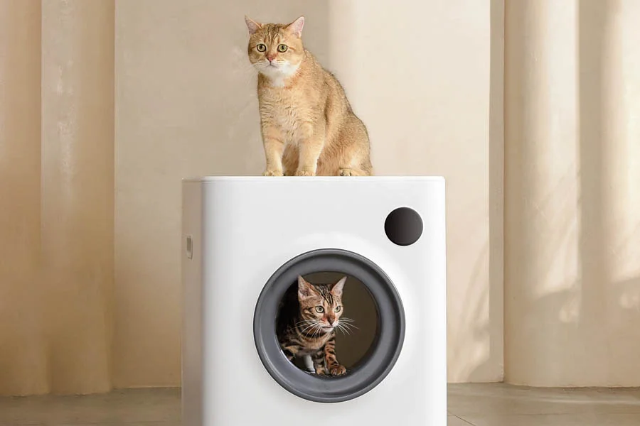 multi cat litter boxes