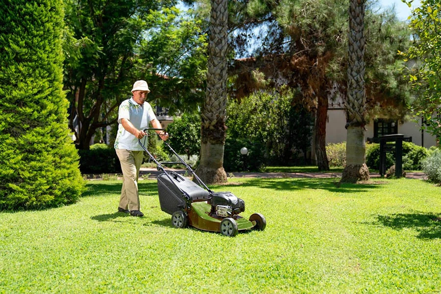 electric push lawnmower